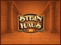 Stein Haus